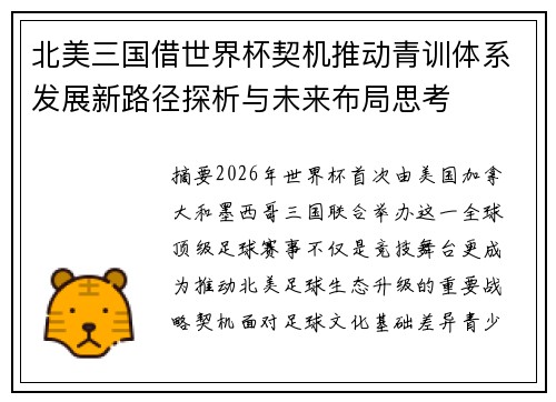 北美三国借世界杯契机推动青训体系发展新路径探析与未来布局思考